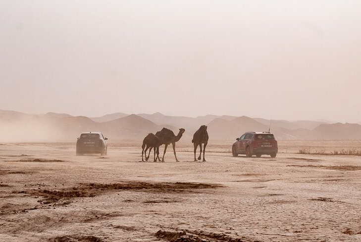 Desierto de Marruecos