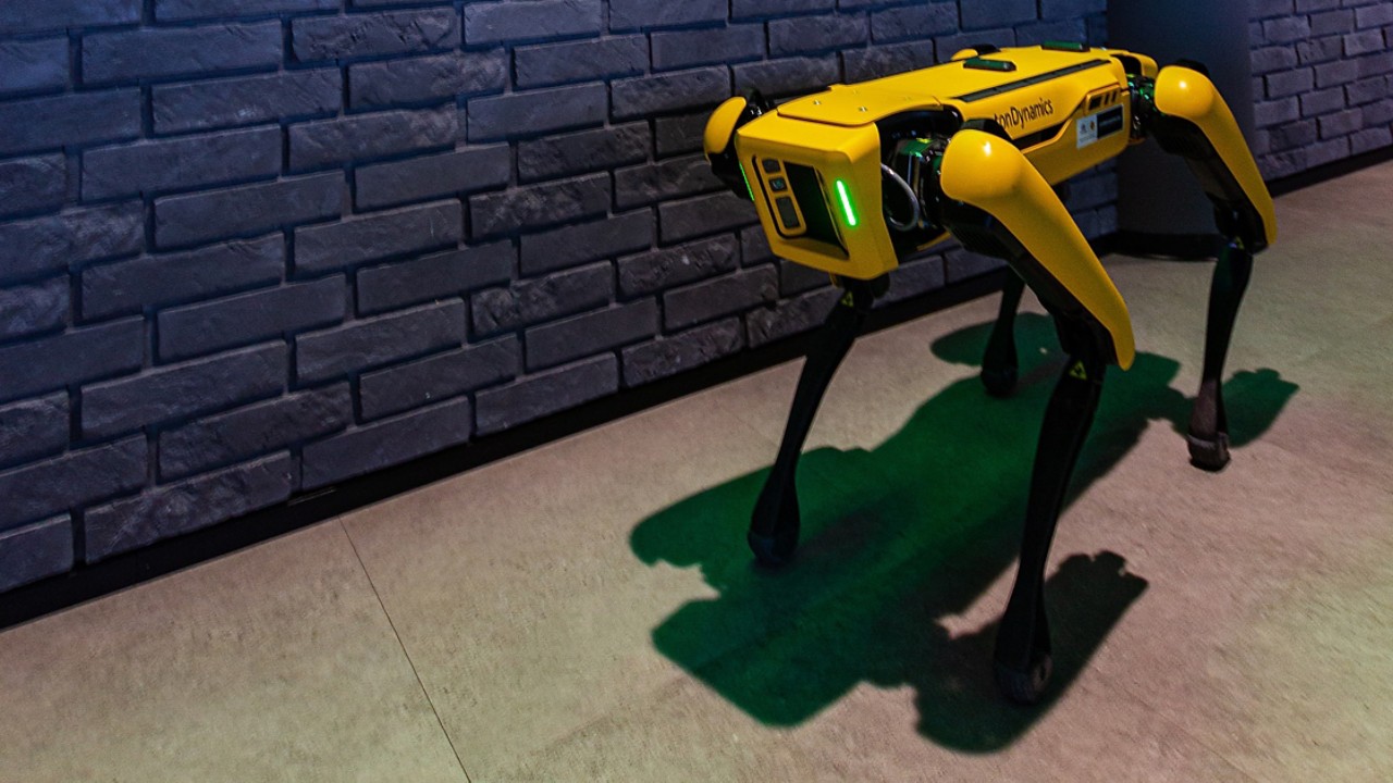Boston dynamics best sale hiring