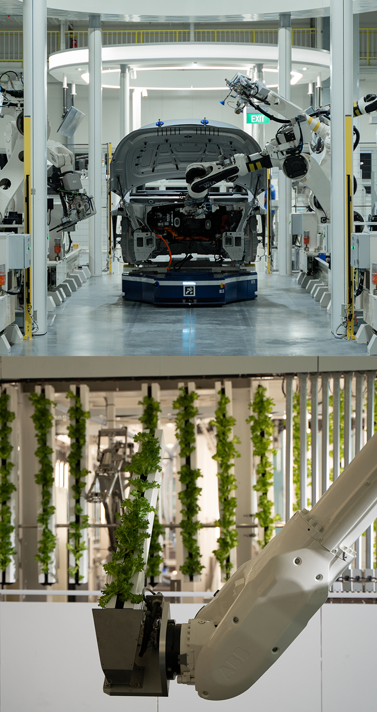 Smart Farm