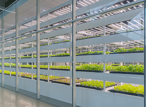 Smart Farm