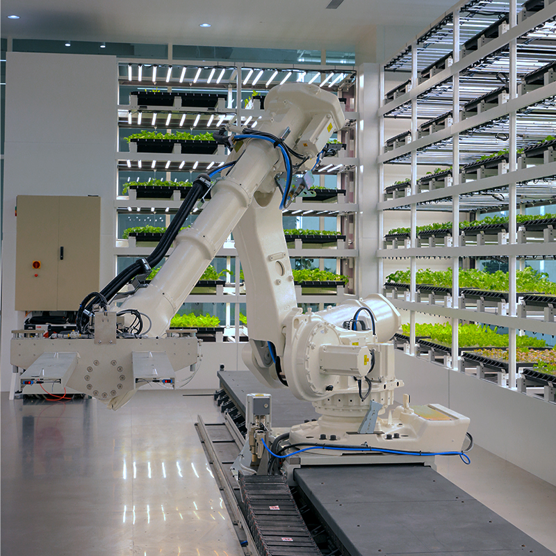 Smart Farm