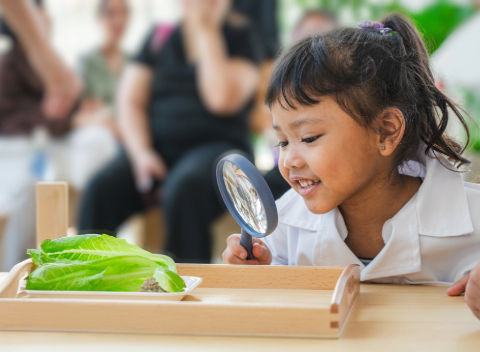 Smart Food Lab at HMGICS