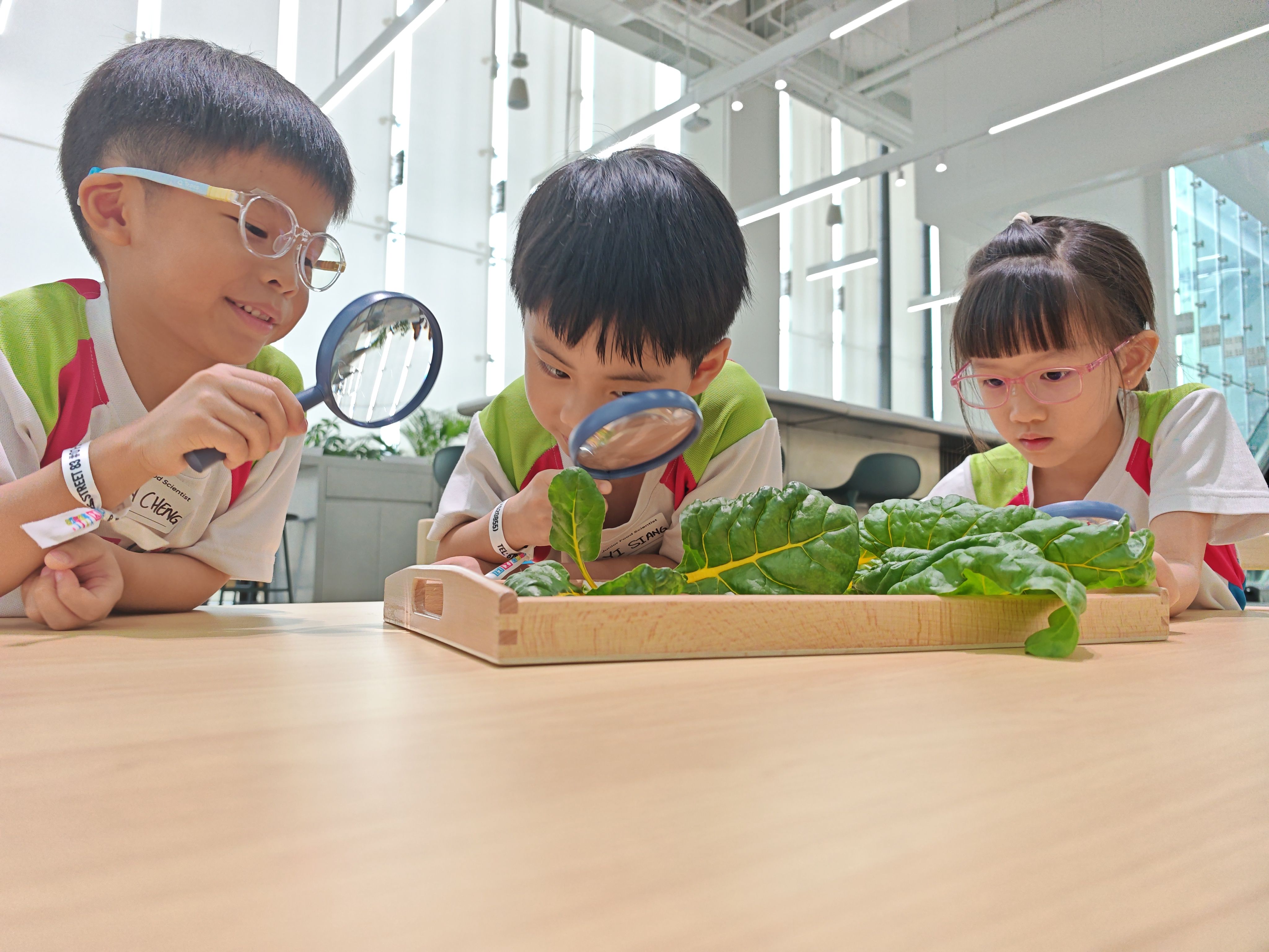 HMGICS and M.Y.World Preschool announced collaboration in 2026