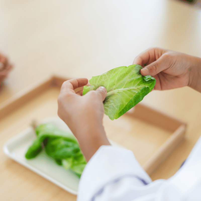 Smart Food Lab as Kids Workshop in HMGICS