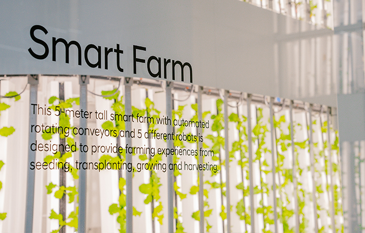 Smart Farm