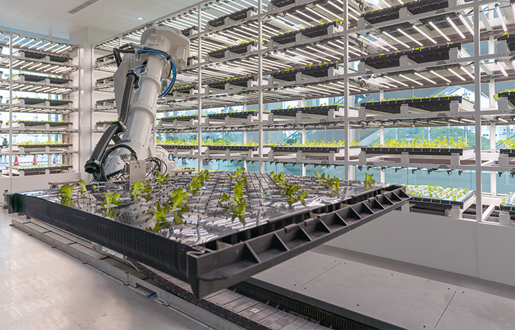 Smart Farm