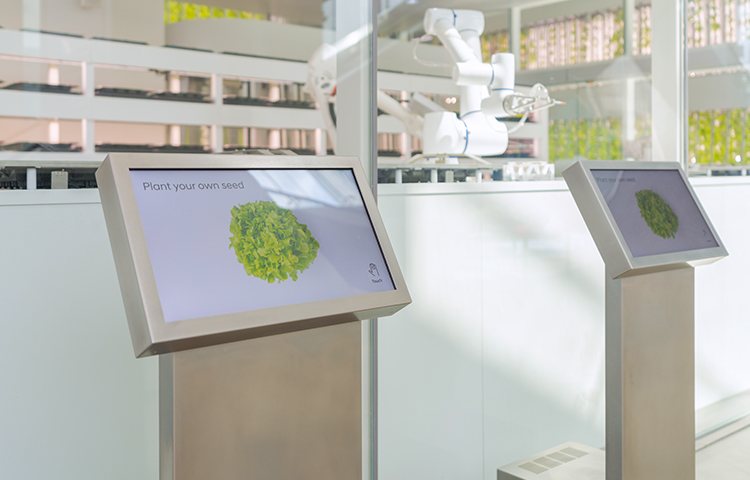 Smart Farm