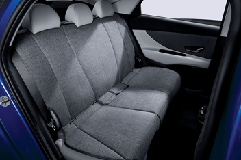 AVANTE Protective rear seat cover