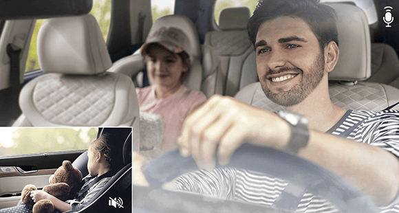 Palisade Backseat conversation mode / Backseat sleep mode
