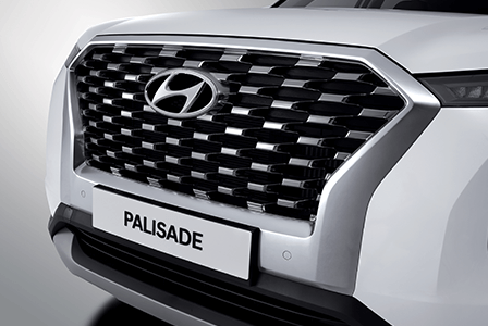 Palisade Chrome radiator grille