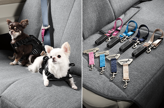 Palisade petpacakge - Harness, Safety belt tether, ISOFIX seatbelt
