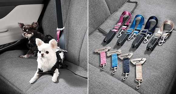 santafe Pet package I - Harness, ISOFIX tether, Safety belt tether