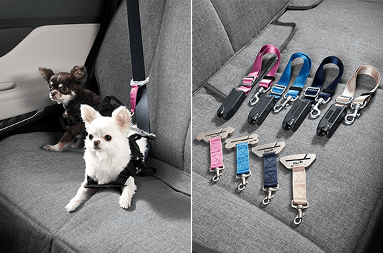 santafe Pet package I - Harness, ISOFIX tether, Safety belt tether