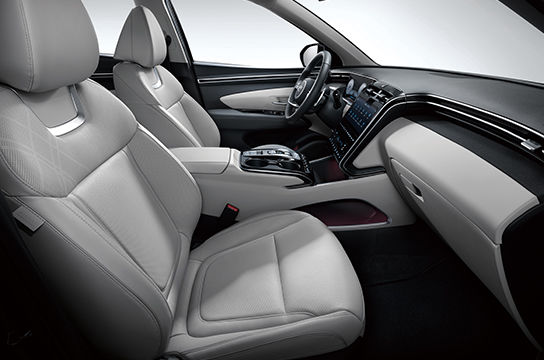 TUCSON interior color - Gray (Leather seat)