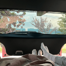 No. 7809 게시글 썸네일