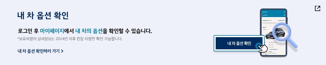 내 차 옵션 확인